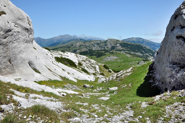 Kalksteinfelsen und alpine Vegetation im Retezat-Gebirge in Rumänien