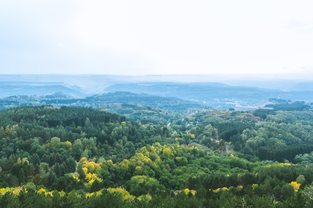 Kalte Herbstwaldlandschaft