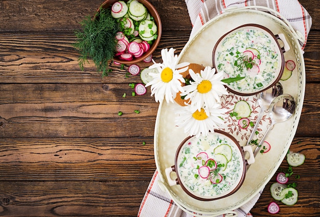 Kalte Suppe mit frischen Gurken, Radieschen mit Joghurt in Schüssel auf Holztisch.