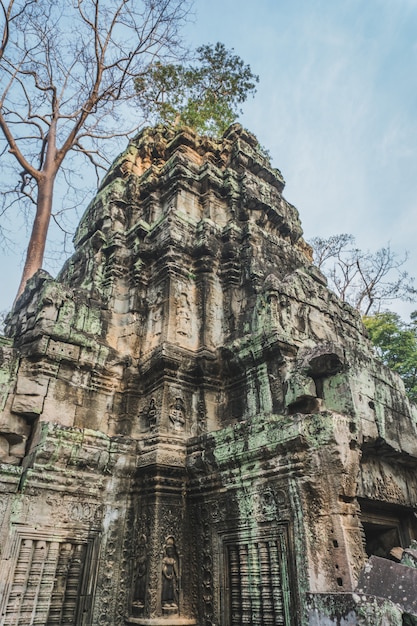 Kambodscha Angkor Wat Ta Prohm Tempel