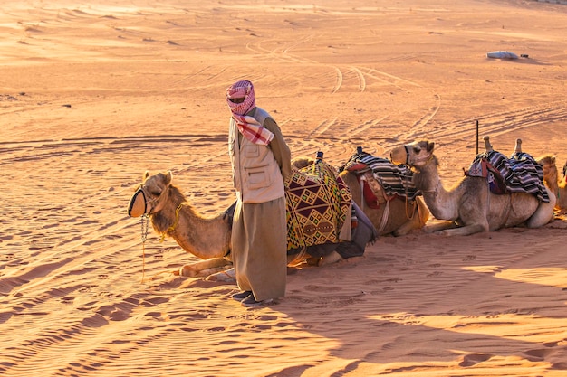 Kamelkarawane in der Wüste Wadi Rum, Naher Osten, Jordanien