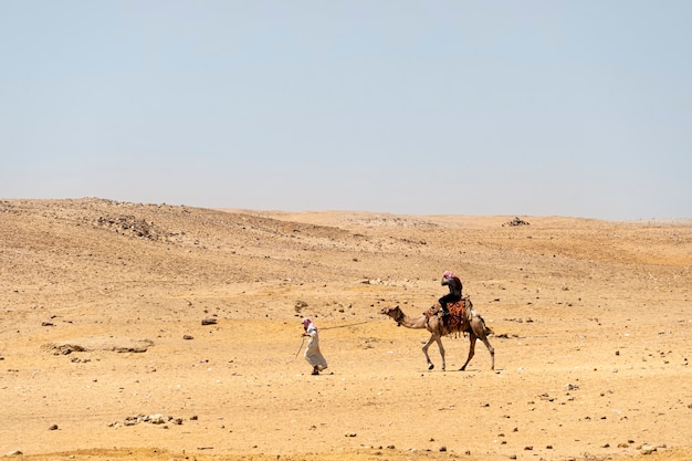 Kamelreiter in der Wüste, Ägypten. ein Beduine führt ein Kamel durch die Wüste.