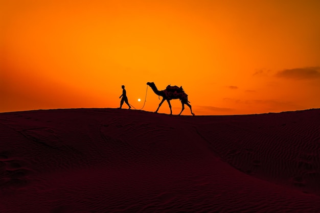 Kameltreiber, Kameltreiber bei Sonnenuntergang. Thar-Wüste bei Sonnenuntergang Jaisalmer, Rajasthan, Indien.