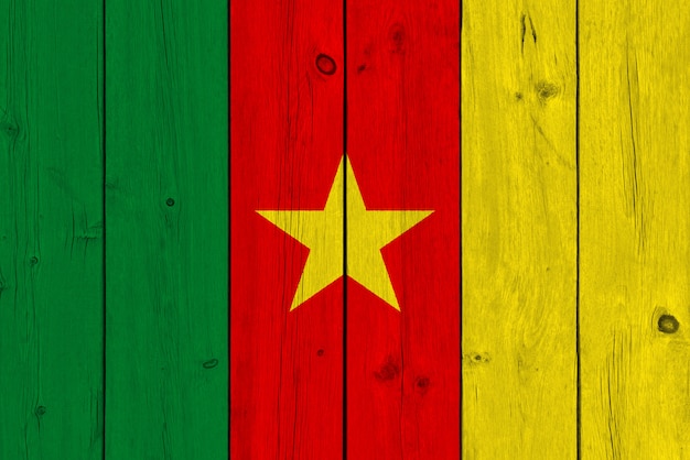 Kamerun-Flagge gemalt auf alter hölzerner Planke