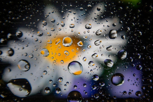 Kamille, die durch das Glas sichtbar ist, voller Wassertropfen