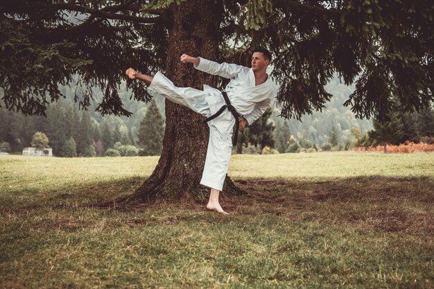 Kampfkunst Karate ein Mann im Kimono mit schwarzem Gürtel trainiert auf dem bergfreien Raum