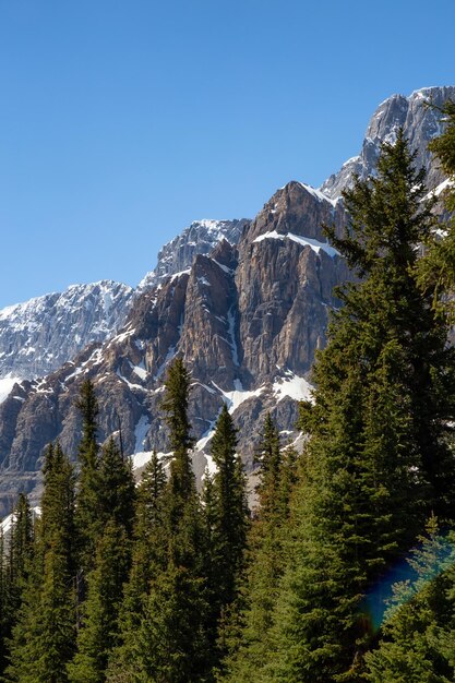 Kanadische Rockies an einem lebhaften sonnigen Sommertag