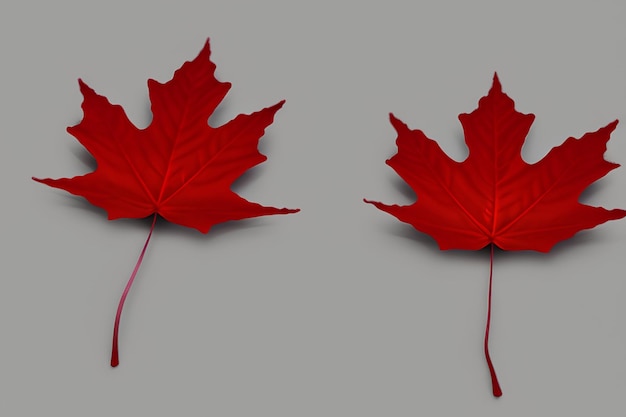 Kanadisches Ahornblatt und Flagge