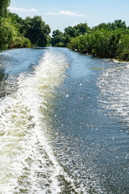 Kanallandschaft mit Wellen im Donaudelta, Rumänien, am Sommertag 2021