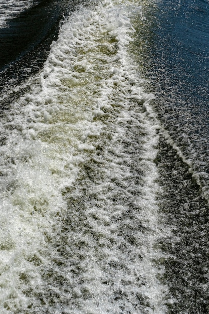 Foto kanallandschaft mit wellen im donaudelta, rumänien, am sommertag 2021