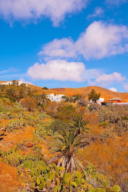 Kanarische Inseln Fuerteventura Landschaft Reisen Urlaub Konzept stilvolle Tapete