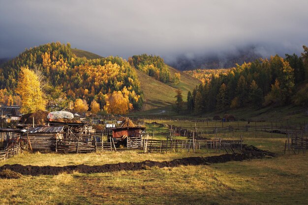 Kanas landschaftliche Sicht auf das Feld gegen den Himmel