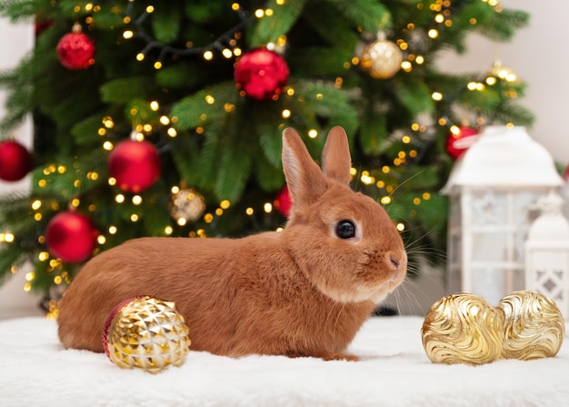 Kaninchen liegt in der Nähe des Weihnachtsbaums Glückliches neues Jahr 2023 des Kaninchen nach dem chinesisch-östlichen Kalender