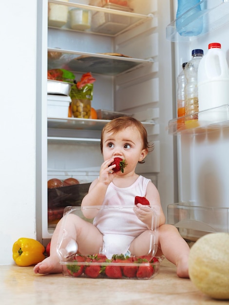 Kann nicht sprechen Erdbeeren essen Aufnahme eines Kleinkindes, das Essen aus dem Kühlschrank isst