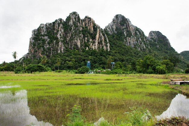 KaoNor KaoKaew Kalksteinberge regnen bei Banphot Phisai in der Provinz Nakhon Sawan in Thailand