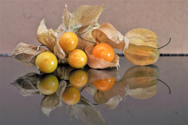 Kap-Stachelbeerfrucht.