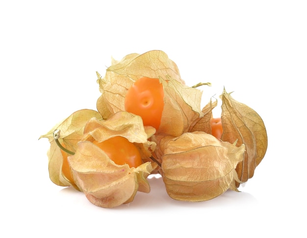 Kapstachelbeere (Physalis) isoliert auf weißem Hintergrund