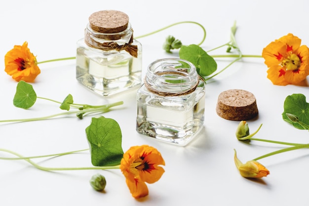 Foto kapuzinerkresseöl tropaeolum majus blumen hinterlässt samen auf weißem hintergrund