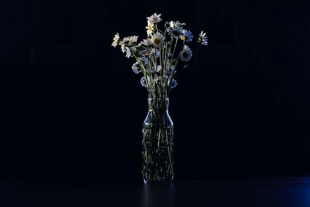 Karamellbüsche in einer Vase, frischer Frühlingsbüsche aus Wildblumen, Schönheit der Natur, Frische Geschenk