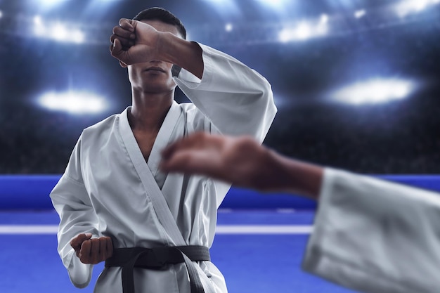 Karate-Kampfkünste in der Arena