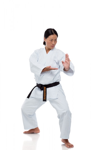 Karate Meister