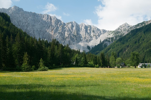 Foto karawanken osterreich 2 (en inglés)