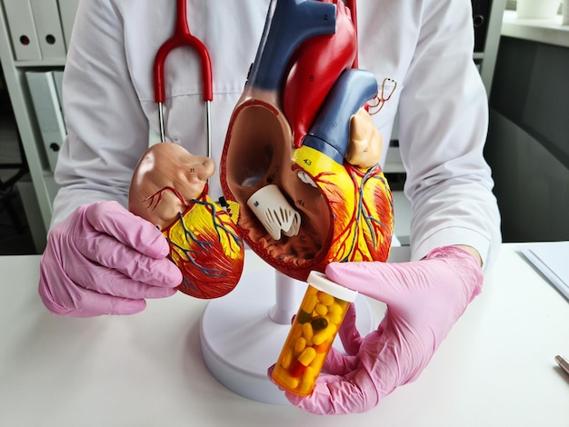 Kardiologe Anatomie des Herzens und medizinische kardiologische Tabletten