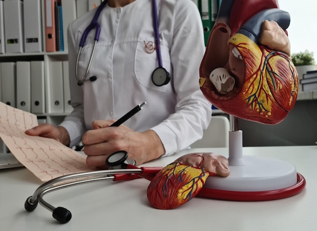 Kardiologe beobachtet Ergebnisse von Kardiogrammen und arterieller Hypertonie