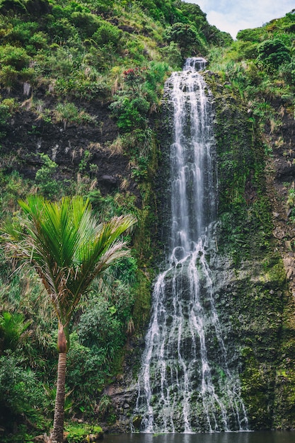 Karekare hoher Wasserfall nahe Auckland, Neuseeland