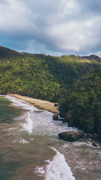 Karibischer Strand mit Palmen und Wellen an einem sonnigen Tag