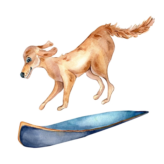 Karikaturhund und surfbrettaquarellillustration lokalisiert auf weiß