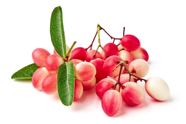 Foto karonda y hojas aisladas en fondo blanco karonda es una fruta del grupo de las bayas tiene un sabor agrio nombre científico carissa carandas carunda christs espina bengala grosellas