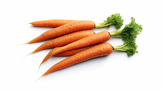 Karotten auf weißem Hintergrund mit dem Wort Karotte