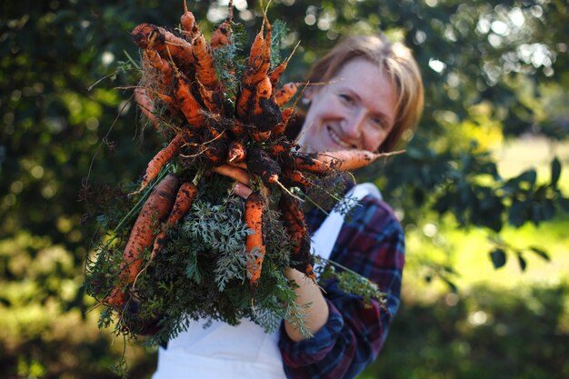 Karotten ernten. Glückliches Mädchen pflückt Karotten im Garten