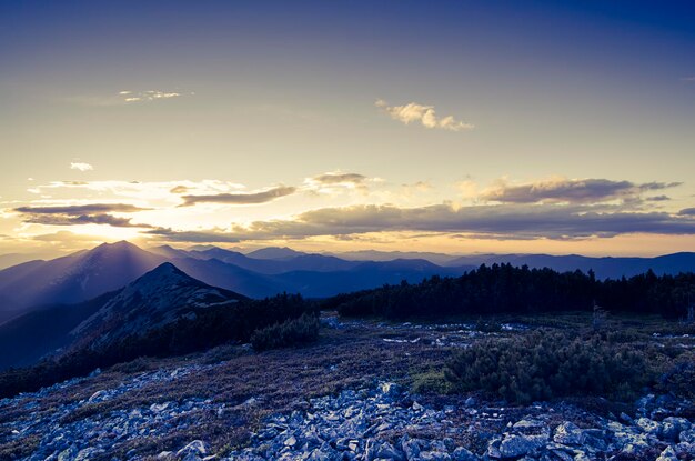 Karpaten-Bergsommer-Sonnenunterganglandschaft mit Felsen und Moos, erstaunlicher Hintergrund des Weinlesehipsters