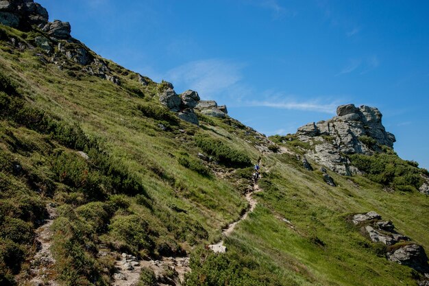 Karpaten-Gebirge am Sommermorgen Schönheit der wilden unberührten ukrainischen Natur Friedlichkeit