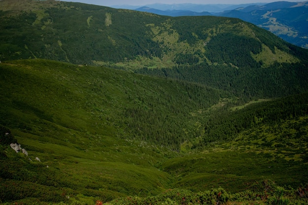 Karpaten-Gebirge am Sommermorgen Schönheit der wilden unberührten ukrainischen Natur Friedlichkeit