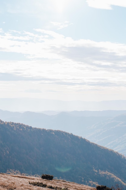 Karpaten-Hochland mit riesigen Waldbergen und grasbewachsenen Hügeln