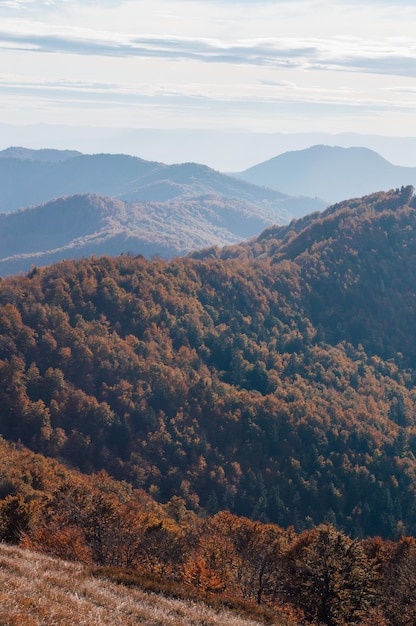 Karpaten-Hochland mit riesigen Waldbergen und grasbewachsenen Hügeln