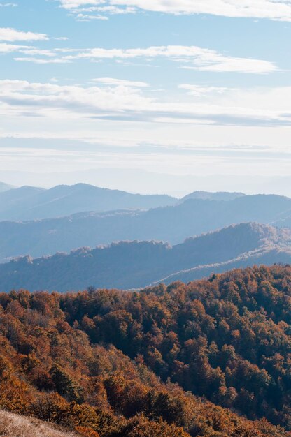 Karpaten-Hochland mit riesigen Waldbergen und grasbewachsenen Hügeln