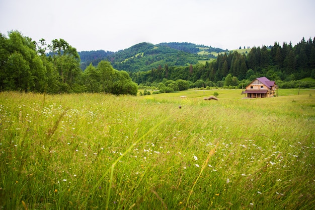 Karpaten im Sommer