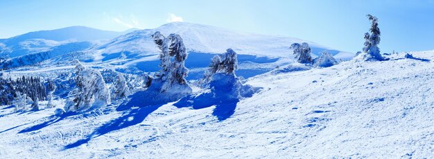 Karpaten im Winter Winterlandschaft in den Bergen