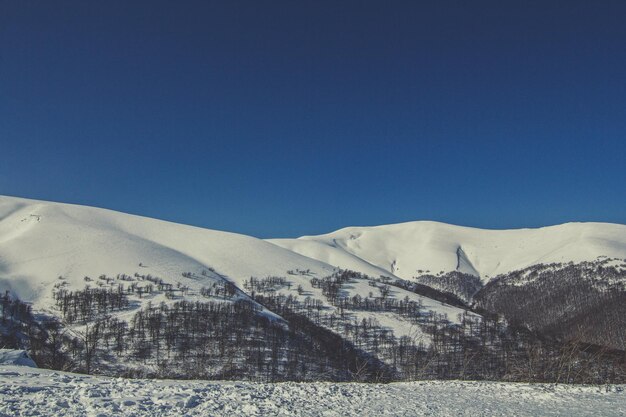 Karpaten mit Schneelandschaftsfoto