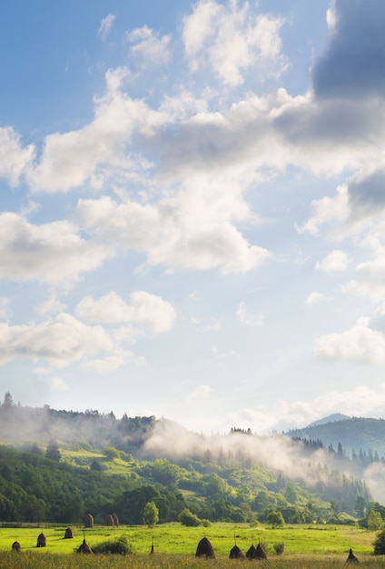 Karpaten Natur im Sommer