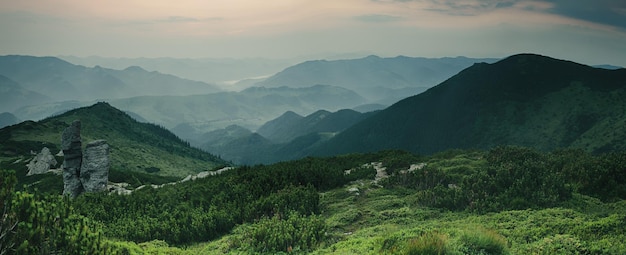 Karpaten Sommersonnenaufgang Landschaft mit Alpenkiefern und Felsen Panoramablick