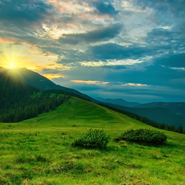 Karpaten Sommersonnenunterganglandschaft mit blauem Himmel und grüner Wiese