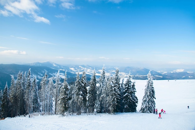 Karpaten Ukraine Schöne Winterlandschaft Der Wald ist mit Schnee bedeckt