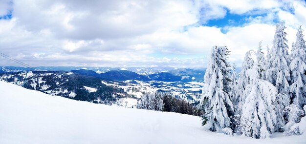 Karpaten Ukraine Wunderschöne schneebedeckte Tannen vor dem Hintergrund der Berggipfel Panoramablick auf die malerische verschneite Winterlandschaft Wunderschöner und ruhiger sonniger Tag