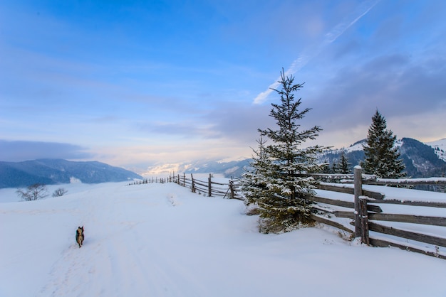 Karpaten Winter Berge