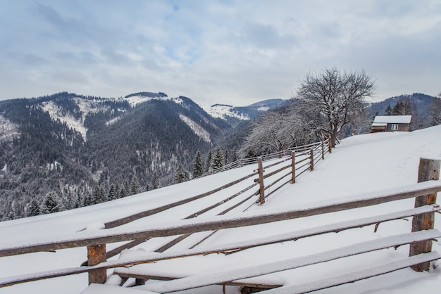 Karpaten Winter Berge